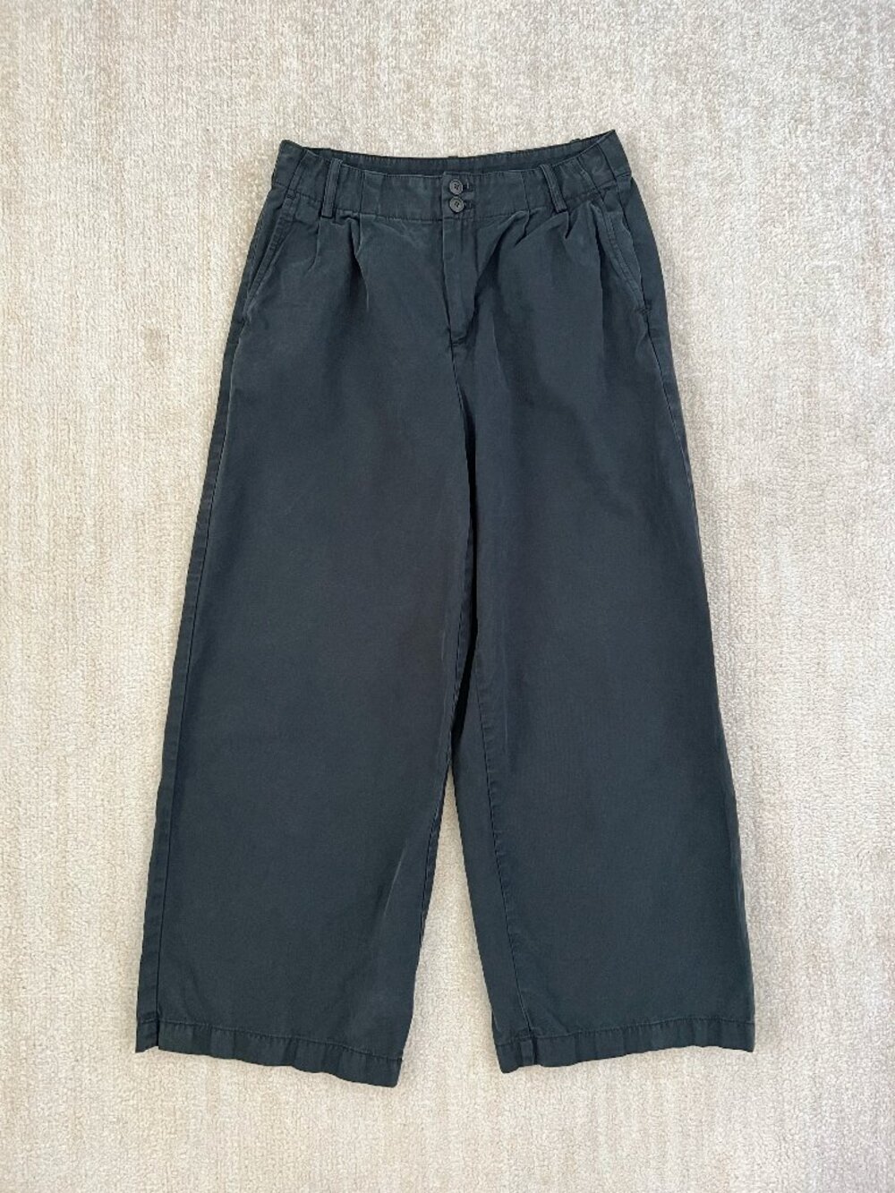 Madewell Harlow Pleated Wide Leg Pants Cotton Linen Black 2 Petite